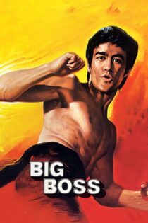 دانلود فیلم The Big Boss 1971